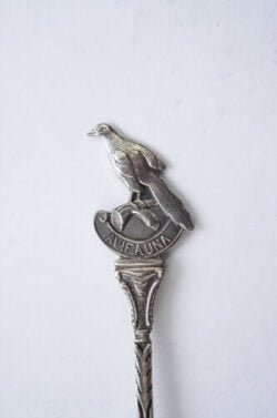 Avifauna vogel (Duif) ? - Afbeelding 2