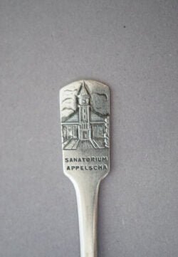 Appelscha - Sanatorium - Afbeelding 2